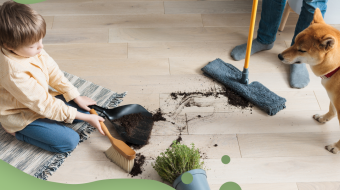 Independence Day - DOÑAS